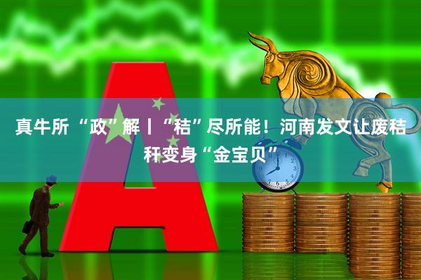 真牛所 “政”解丨“秸”尽所能！河南发文让废秸秆变身“金宝贝”
