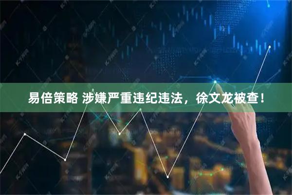 易倍策略 涉嫌严重违纪违法，徐文龙被查！