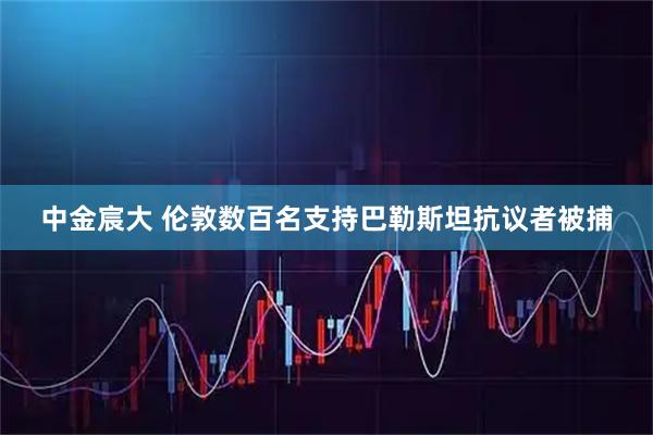 中金宸大 伦敦数百名支持巴勒斯坦抗议者被捕