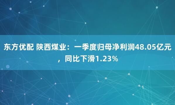 东方优配 陕西煤业：一季度归母净利润48.05亿元，同比下滑1.23%