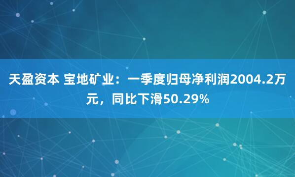 天盈资本 宝地矿业：一季度归母净利润2004.2万元，同比下滑50.29%