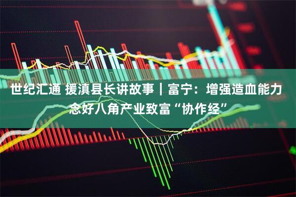 世纪汇通 援滇县长讲故事｜富宁：增强造血能力 念好八角产业致富“协作经”
