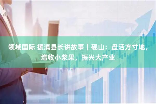 领域国际 援滇县长讲故事｜砚山：盘活方寸地，增收小浆果，振兴大产业