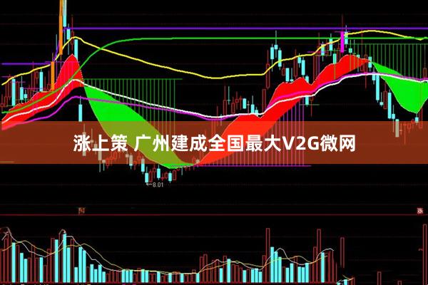 涨上策 广州建成全国最大V2G微网