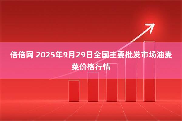 倍倍网 2025年9月29日全国主要批发市场油麦菜价格行情