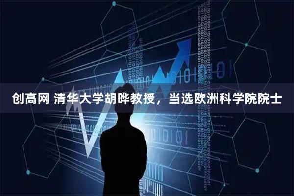 创高网 清华大学胡晔教授，当选欧洲科学院院士