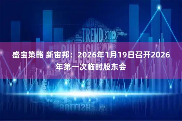 盛宝策略 新宙邦：2026年1月19日召开2026年第一次临时股东会