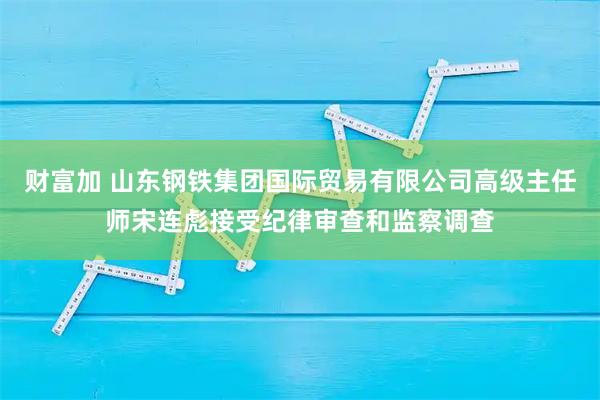 财富加 山东钢铁集团国际贸易有限公司高级主任师宋连彪接受纪律审查和监察调查