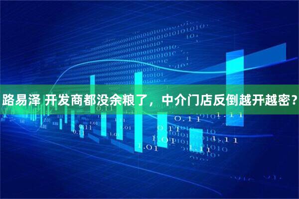 路易泽 开发商都没余粮了，中介门店反倒越开越密？